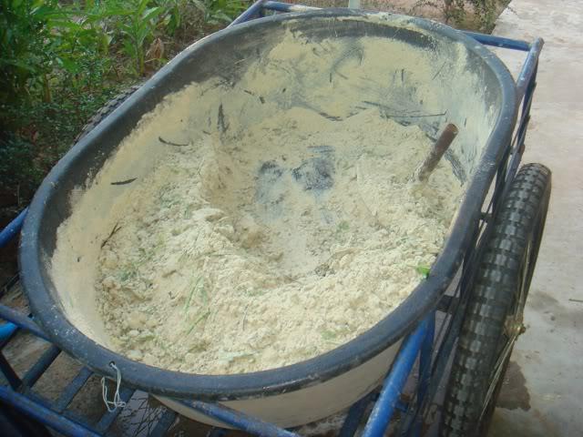 Ground snail meat mixed with rice flour or grass