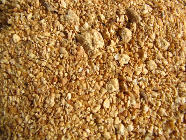 Soybean meal, imported in France