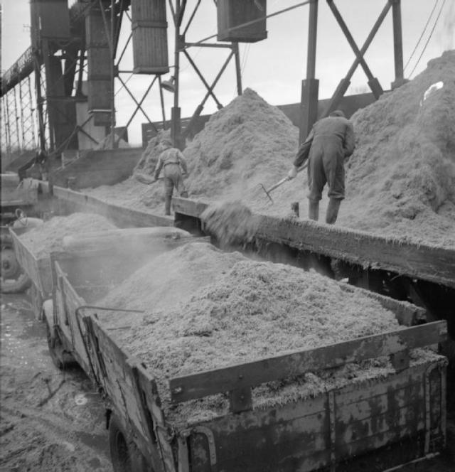 Sugar beet pulp loading at the sugar factory