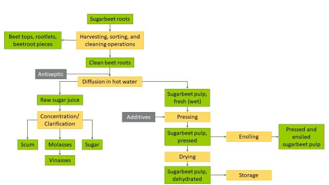 Sugar beet processing