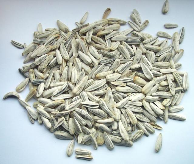 Sunflower seeds (roasted)