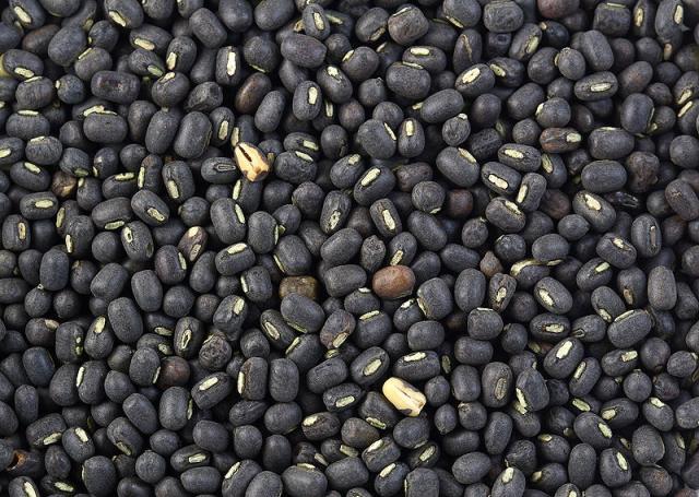 Black gram (Vigna mungo) seeds