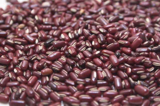 Rice bean (Vigna umbellata) seeds