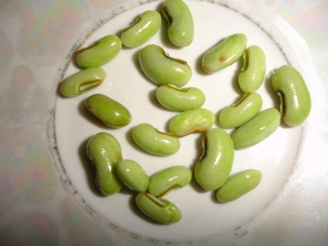 Barbatti seeds, urban region of Raipur, Chhattisgarh (India)