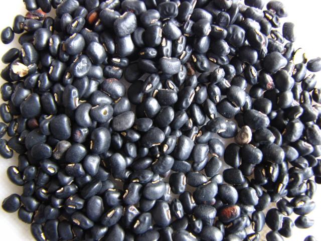 Cowpea, black variety, Vietnam