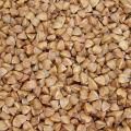 Buckwheat (Fagopyrum esculentum) grain