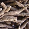 Cassava tubers, fresh