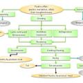 Poultry by-products meal: processes