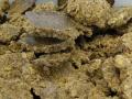 Cashew nut meal, Burkina Faso