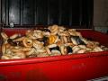 Discarded bagels in New York