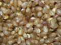 Dehulled fonio grain