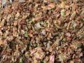 Apple pomace