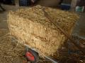 Wheat straw bale, France