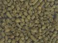 Soybean hulls in pellets