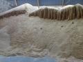 Soybean Meal