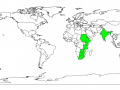 Albizia (Albizia amara), worldwide distribution