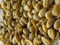 Balanites seed kernels