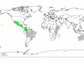 Calliandra (Calliandra calothyrsus), worldwide distribution