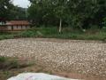 Cassava chips drying, Benin