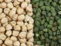 Chickpea (Cicer arietinum), white and green seeds