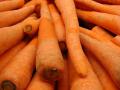 Carrot (Daucus carota) roots, Hawaii