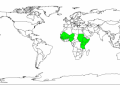 Worldwide distribution of Combretum aculeatum