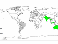 World distribution of Albizia lebbeck