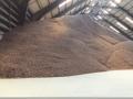 Storage of dehydrated sugarbeet pulp