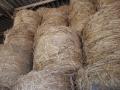 Straw of industrial hemp, France