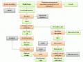 Palm kernel meal and oil palm by-products processing