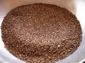 Grains of kodo millet (Paspalum scrobiculatum)