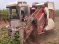 Peanut harvester