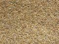 Pearl millet grain