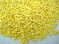 Proso millet (Panicum miliaceum) grain