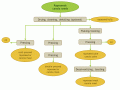 Rapeseed and canola seed: processes and products