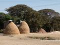 Stacks of drying tef hay (Ethiopia)