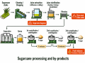 Sugarcane processing and byproducts