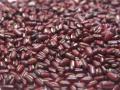 Rice bean (Vigna umbellata) seeds