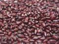 Rice bean (Vigna umbellata) seeds